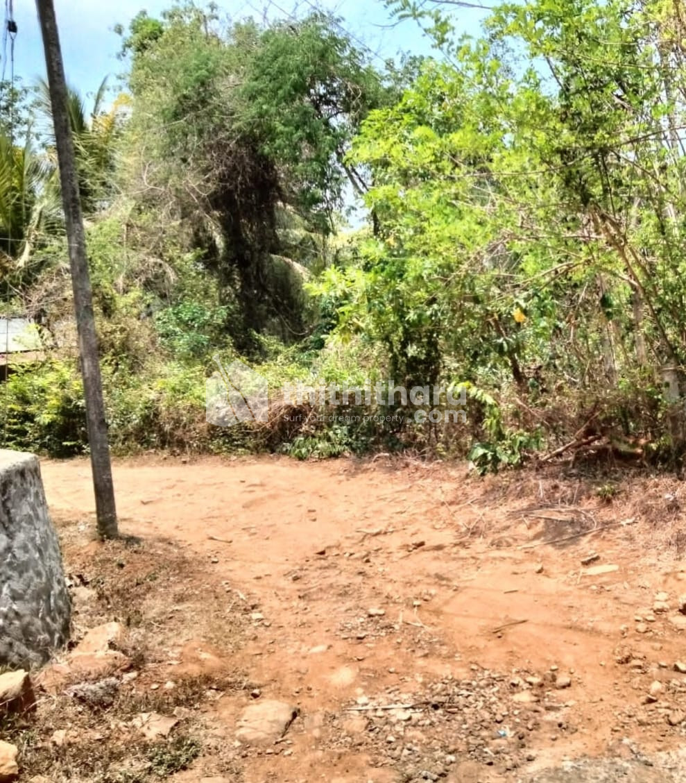 Residential  Land For sale at Ottappalam Palakkad