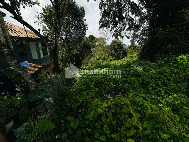 Residential Land available for Sale in Kalpetta Wayanad