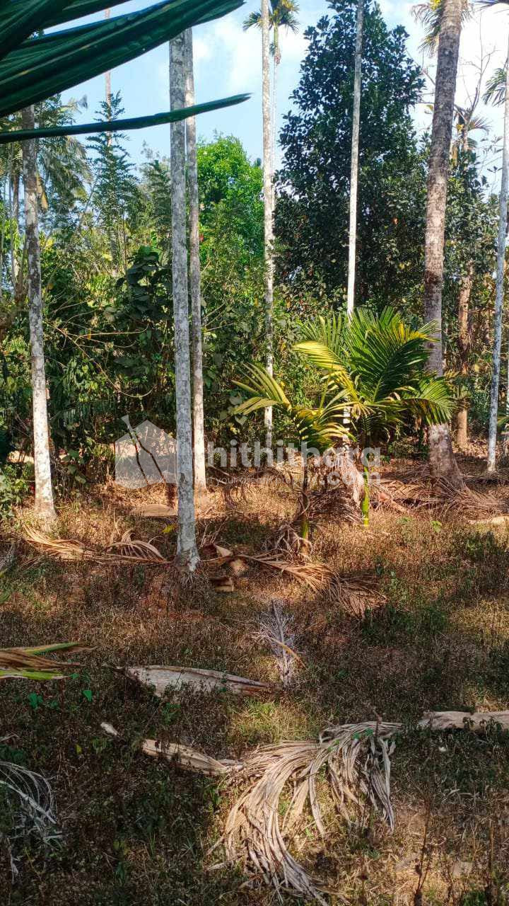Residential Land for sale at SulthanBathery Wayanad 