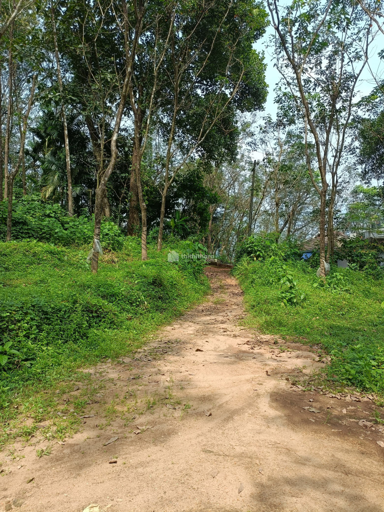 Residential Land available for Sale in Thodupuzha Idukki
