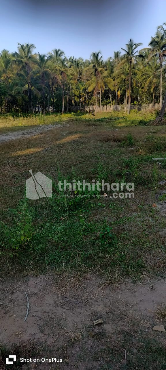 Residential Land available for Sale in Kunnamkulam Thrissur