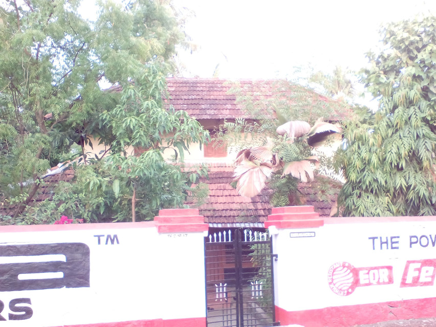 Commercial Plot for sale at Pazhayannur Thrissur