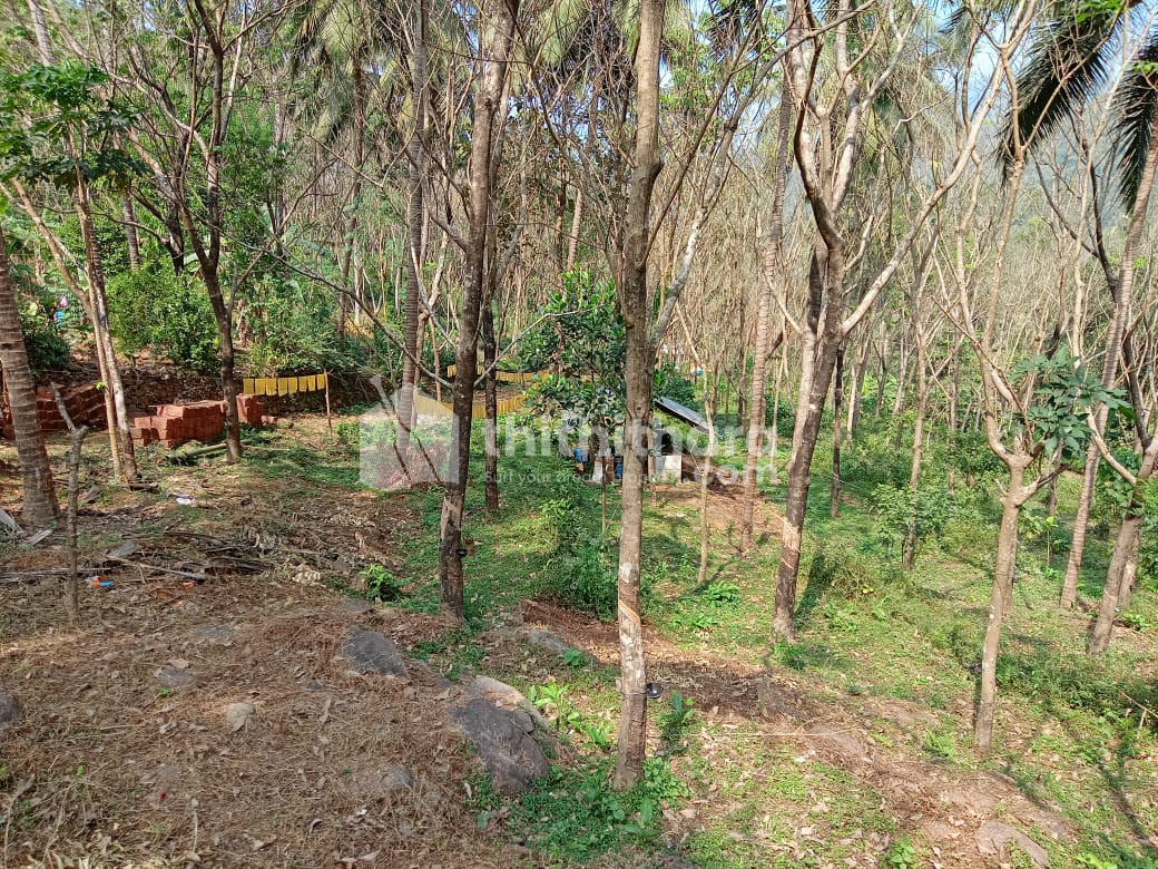 Residential Land available for Sale in Hosdurg Kasaragod