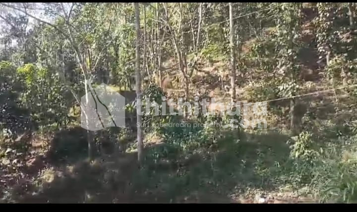 Commercial Plot available for Sale in Mananthavady Wayanad