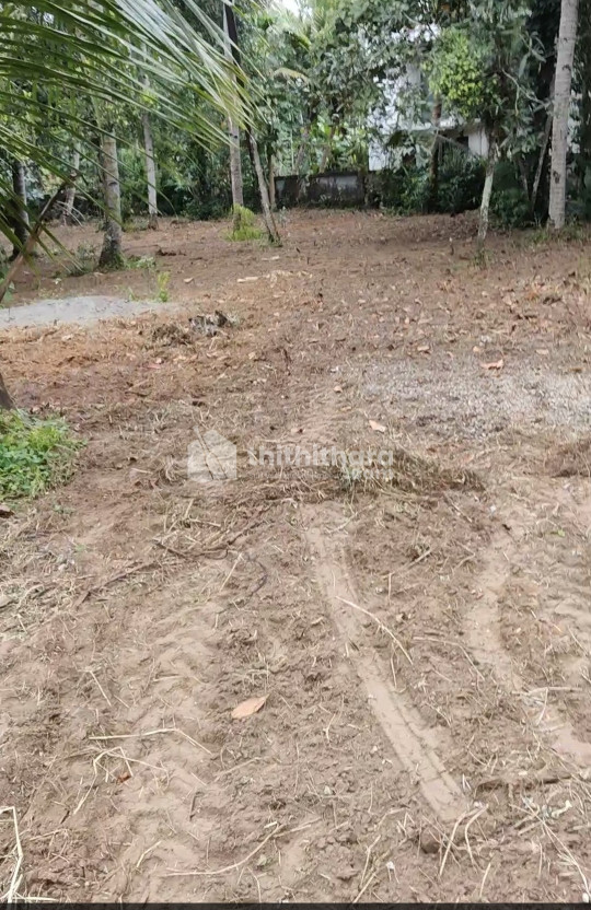 Commercial Plot for sal at Karunagappally Kollam