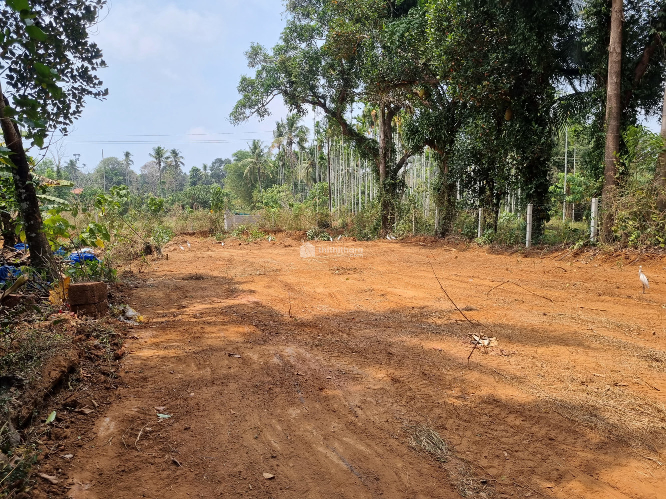 Residential Land for sale at Pilicode Kasaragod