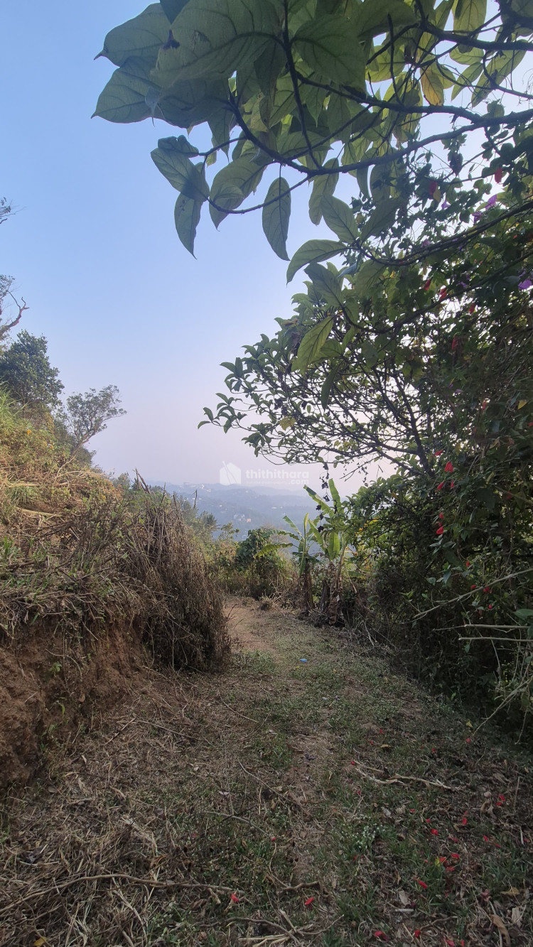  Commercial Plots available for Sale in Munnar Idukki