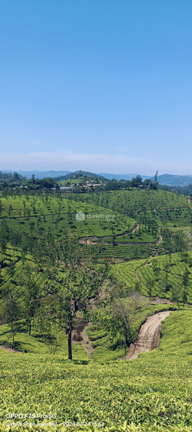 Commercial Plots available for Sale in Peerumade Idukki