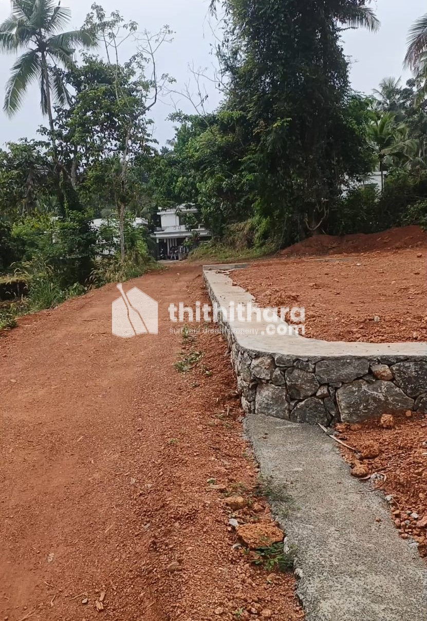 Commercial Others available for Sale in Kunnamangalam Kozhikode