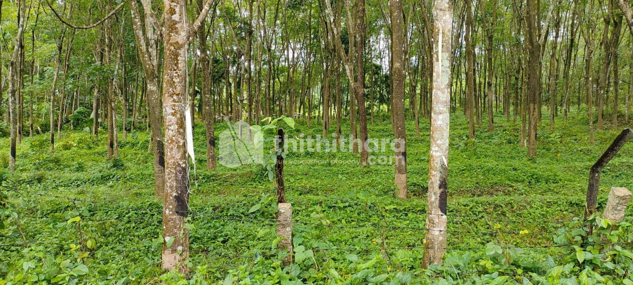 Commercial Plots available for Sale in Kattakkada Thiruvananthapuram