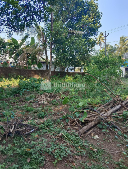 Commercial Plots available for Sale in Aluva Ernakulam