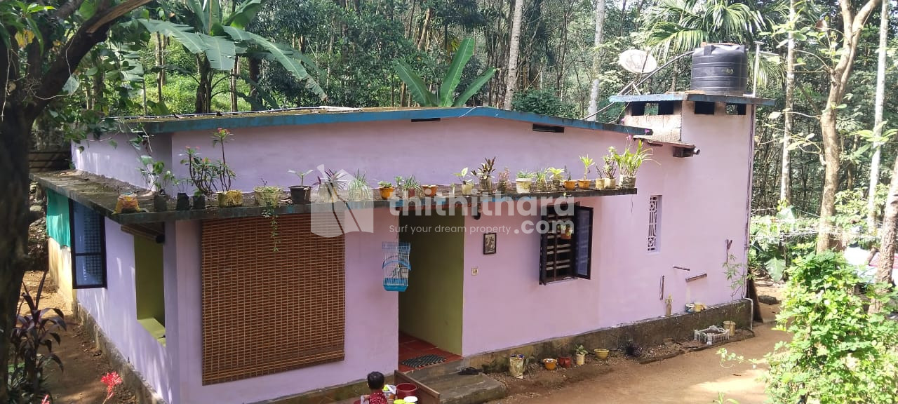 2 BHK Independent House at Adoor Pathanamthitta
