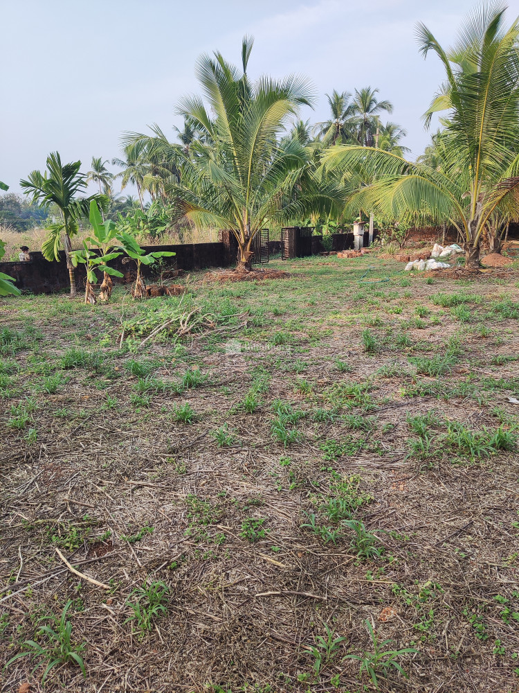Residential Land for sale at Kanhangad Kasaragod