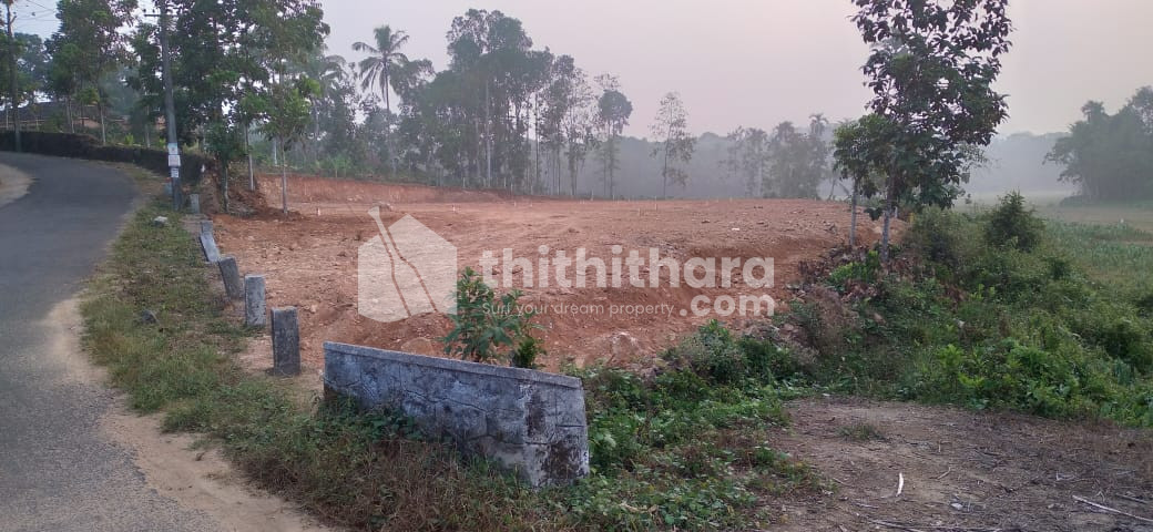 Residential Land available for Sale in Mallappally Pathanamthitta