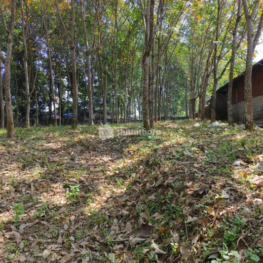 Residential Land available for Sale in Puthuppally Kottayam