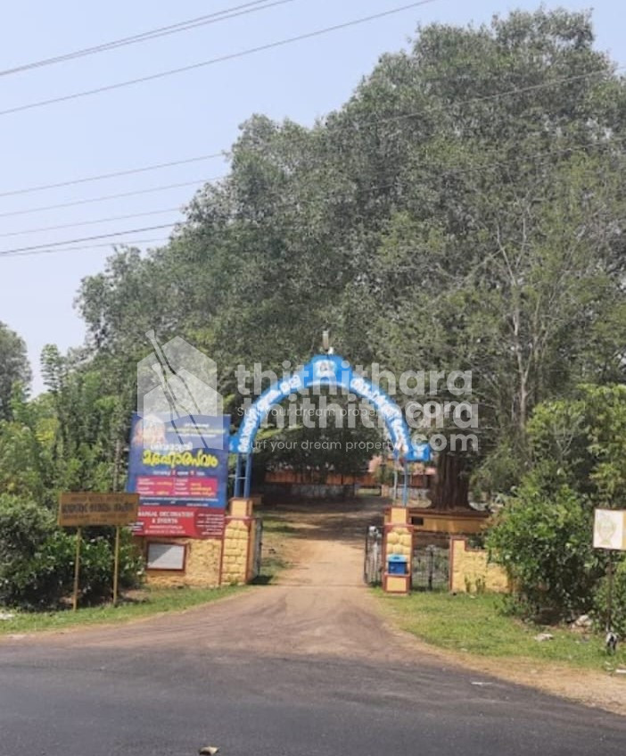 Commercial Plot Sale In Kondazhy Thrissur
