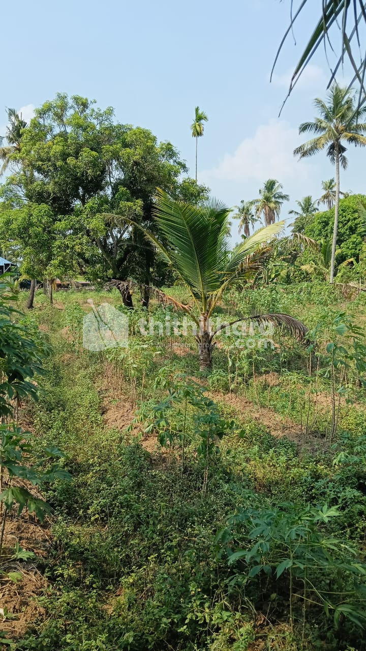 Residential Land available for Sale in Angamaly Ernakulam