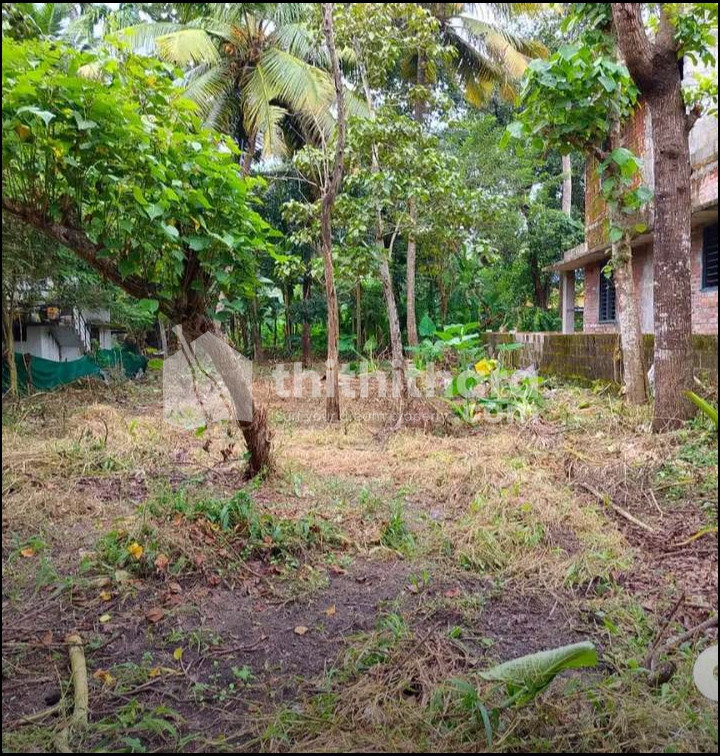 Residential Land available for Sale in Karikkod Kollam