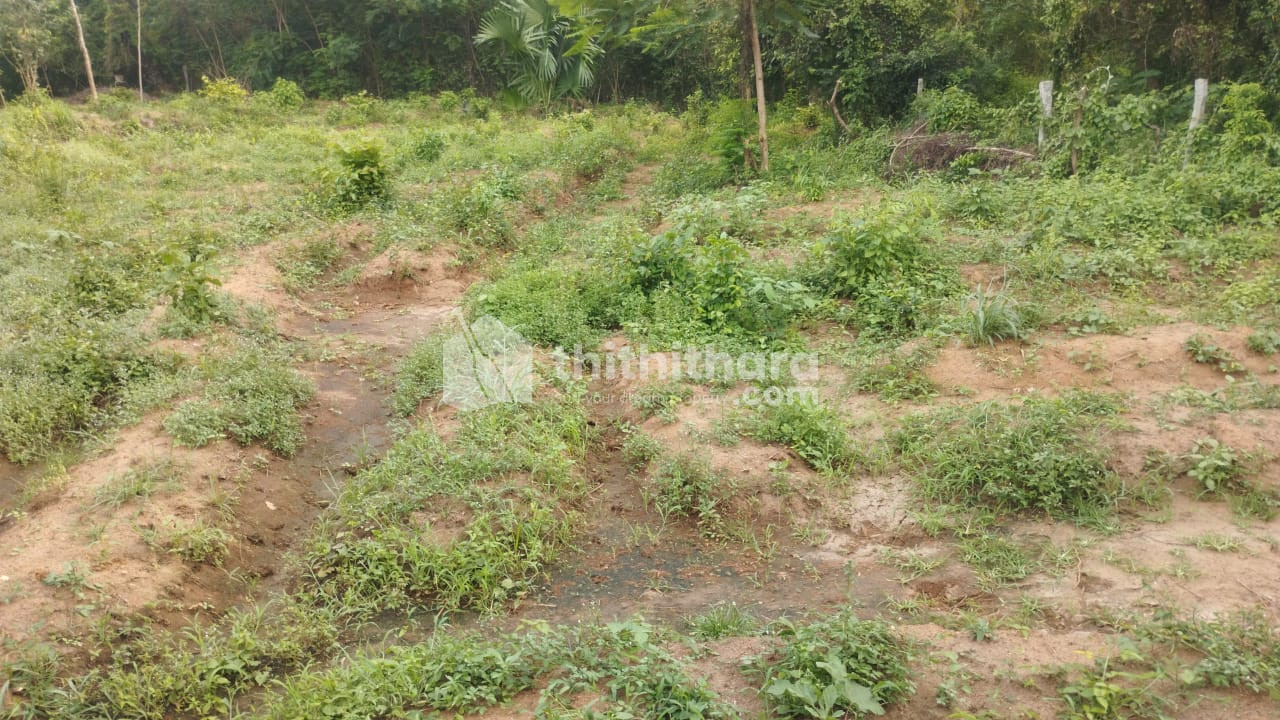 Commercial Plots available for Sale in  Alathur Palakkad