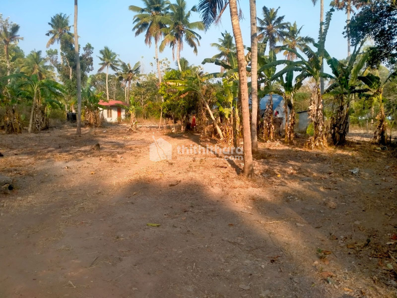 Residential Land available for Sale in Meenad, Karamcodu, Chathannoor, Kollam