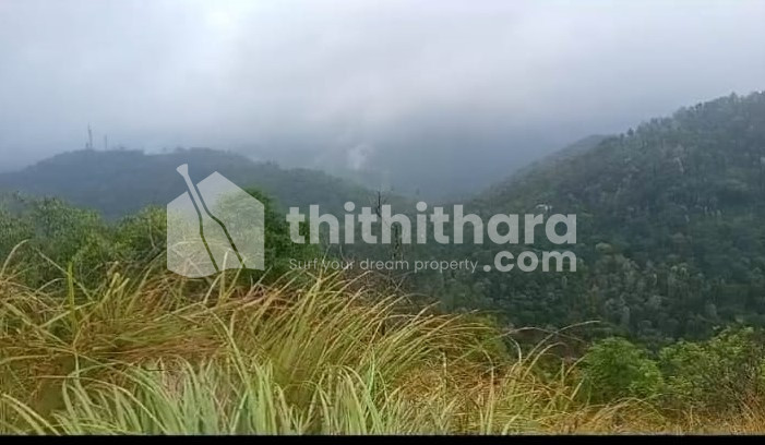 Commercial Others for sale at Peerumade Idukki