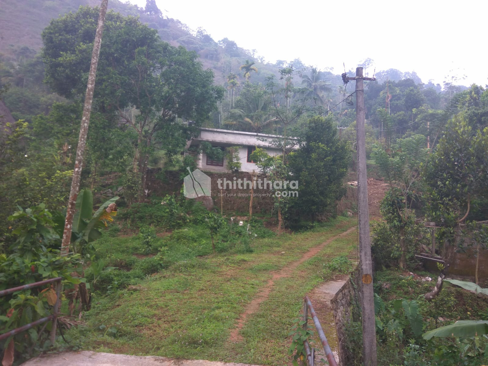 Commercial Plots available for Sale in Devikulam Idukki