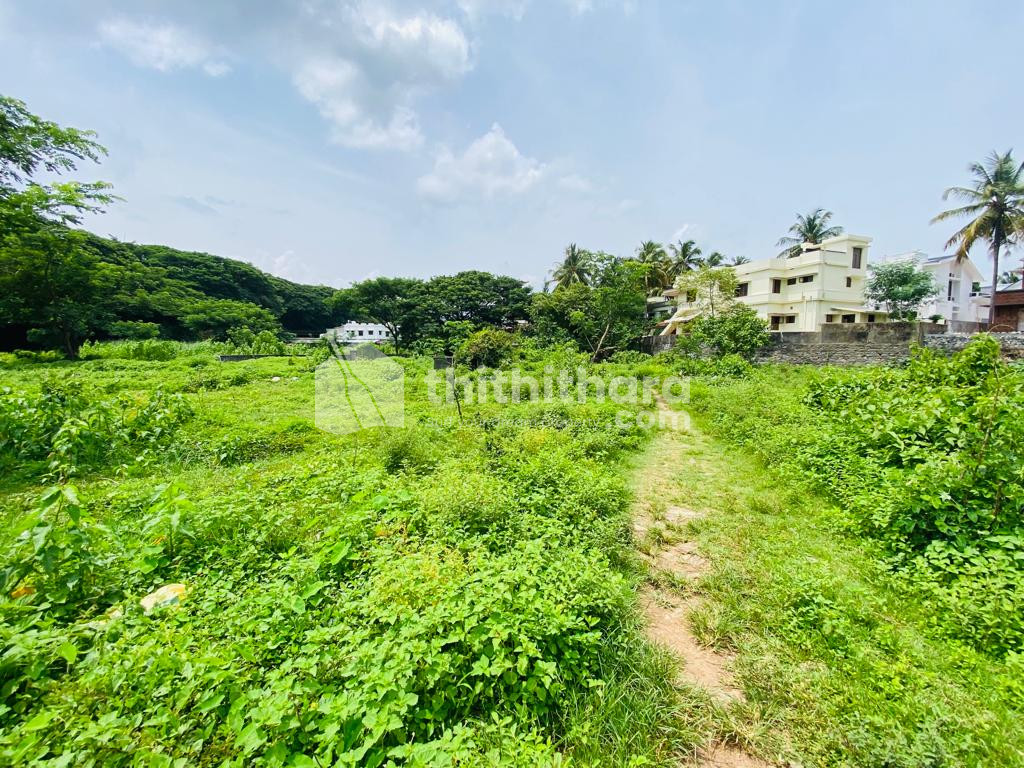 Residential Land available for Sale in Olavakkod Palakkad