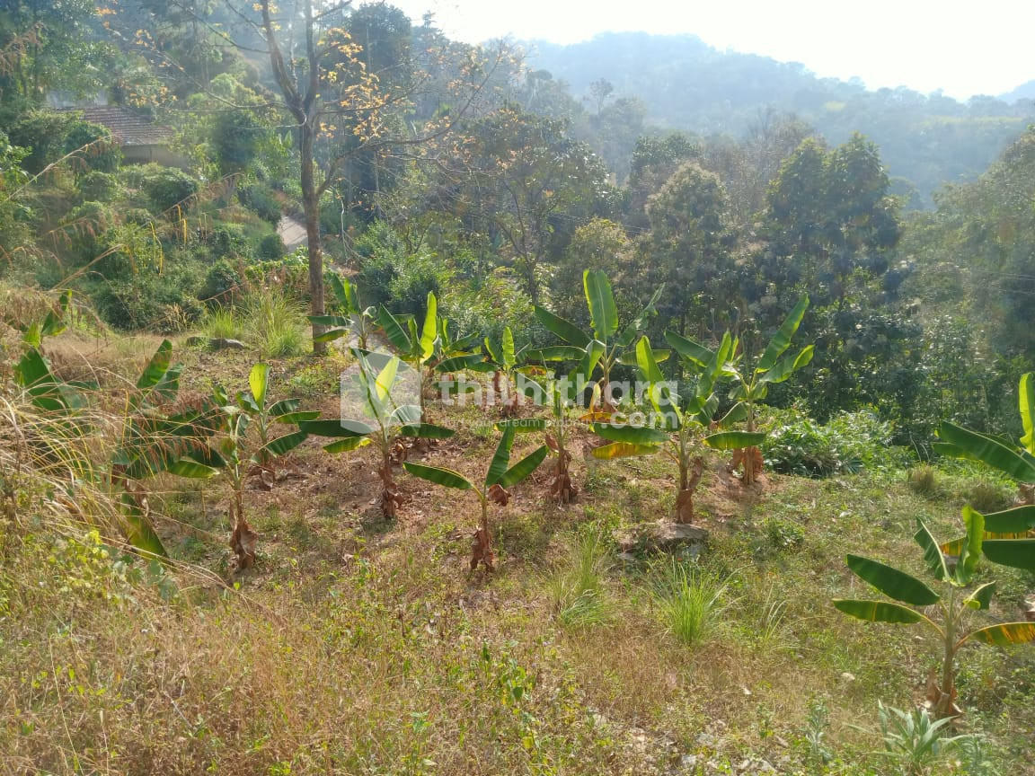 Residential Land for sale at Devikulam Idukki