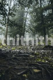 Residential Land for sale at Chengannur Alappuzha