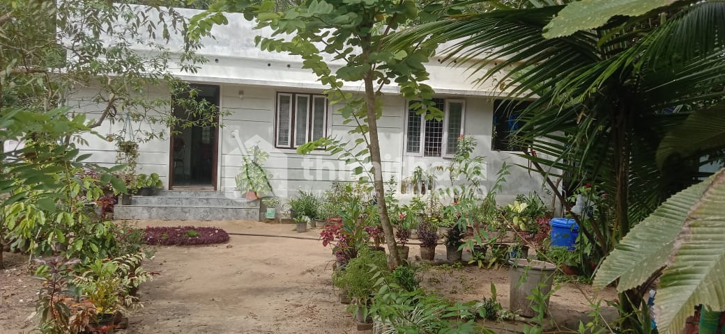 2BHK Independent house for sale Cherthala Alappuzha
