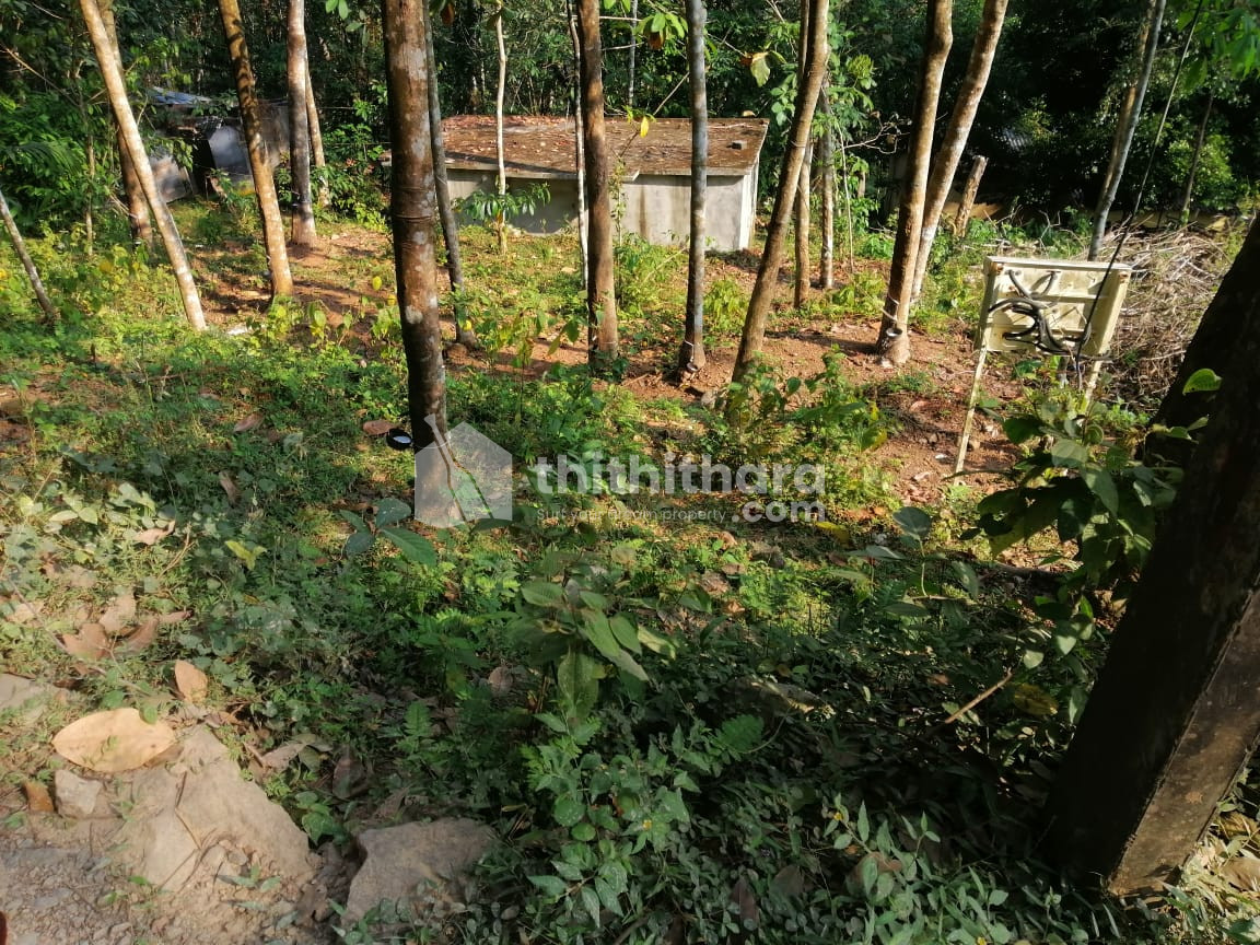 Commercial Plots available for Sale in Adoor Pathanamthitta