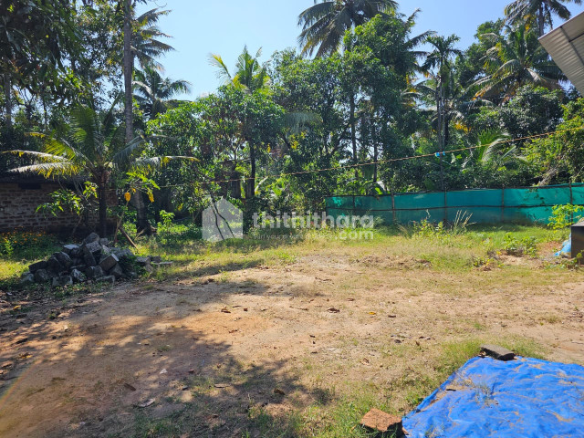 Residential Land available for Sale in Nattika Thrissur