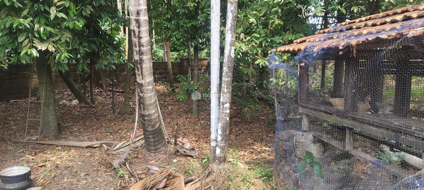 Commercial Plots for sale at Mala Thrissur 