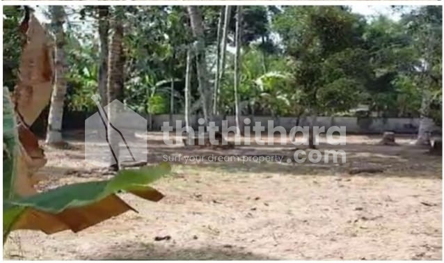 Residential Land available for Sale in Kayamkulam Alappuzha