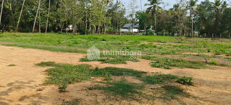 Residential Land available for Sale in Chalakudy Thrissur