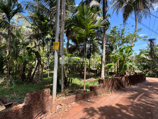 13 Cent Land for Sale Near Calicut Airport, Kondotty