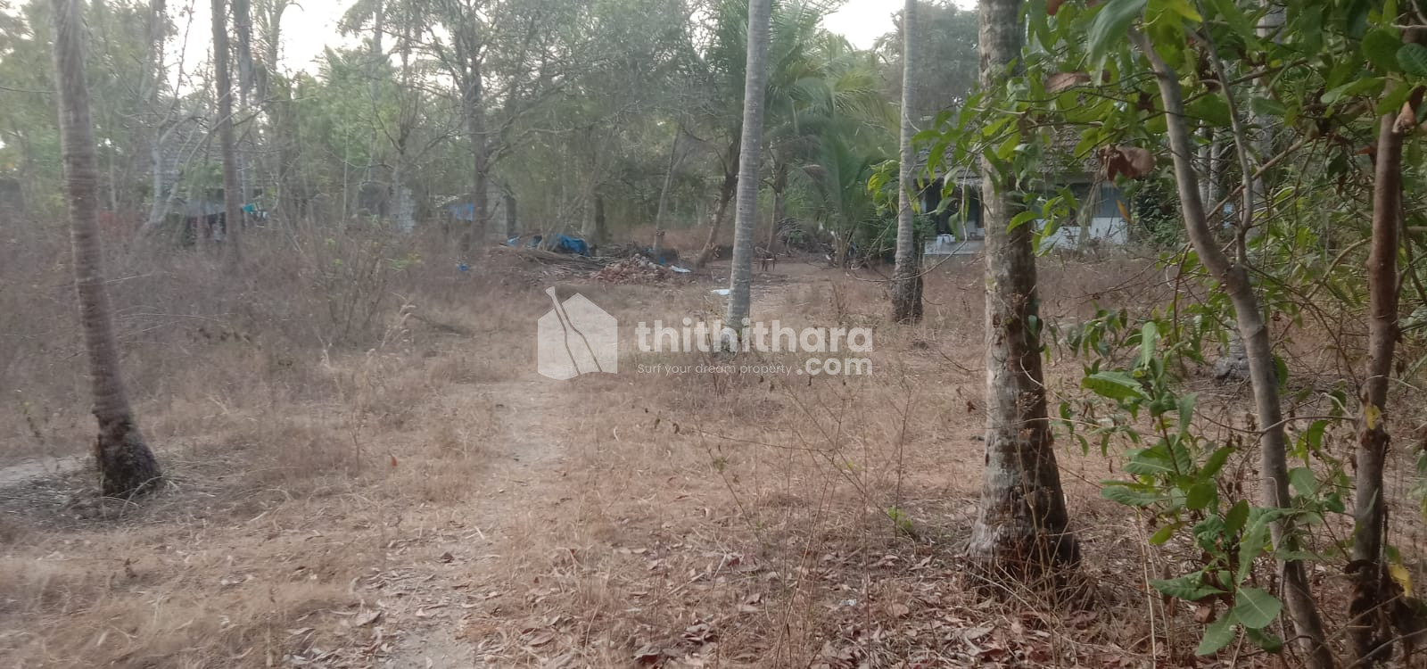 Residential Land available for Sale in Payyoli Kozhikode