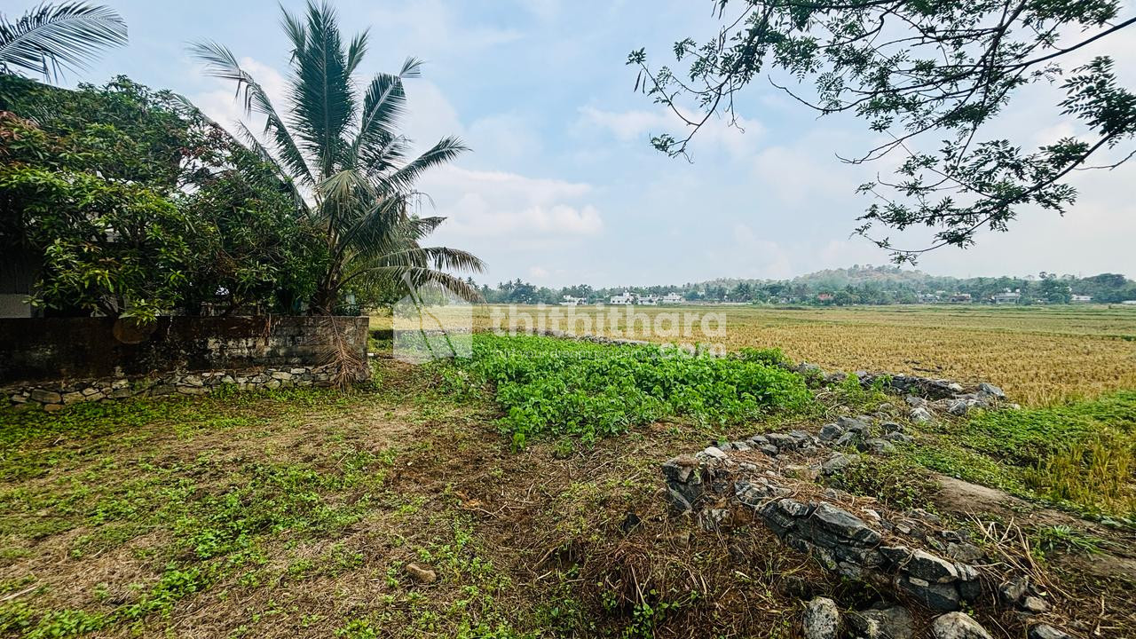 Residential Land available for Sale in Palakkad City Palakkad