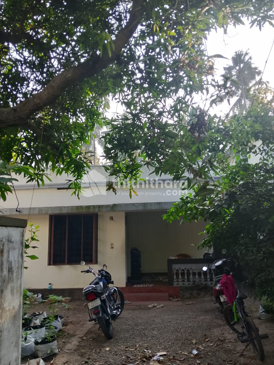 3 BHK Independent House available for Sale in Kumbalanghi Ernakulam