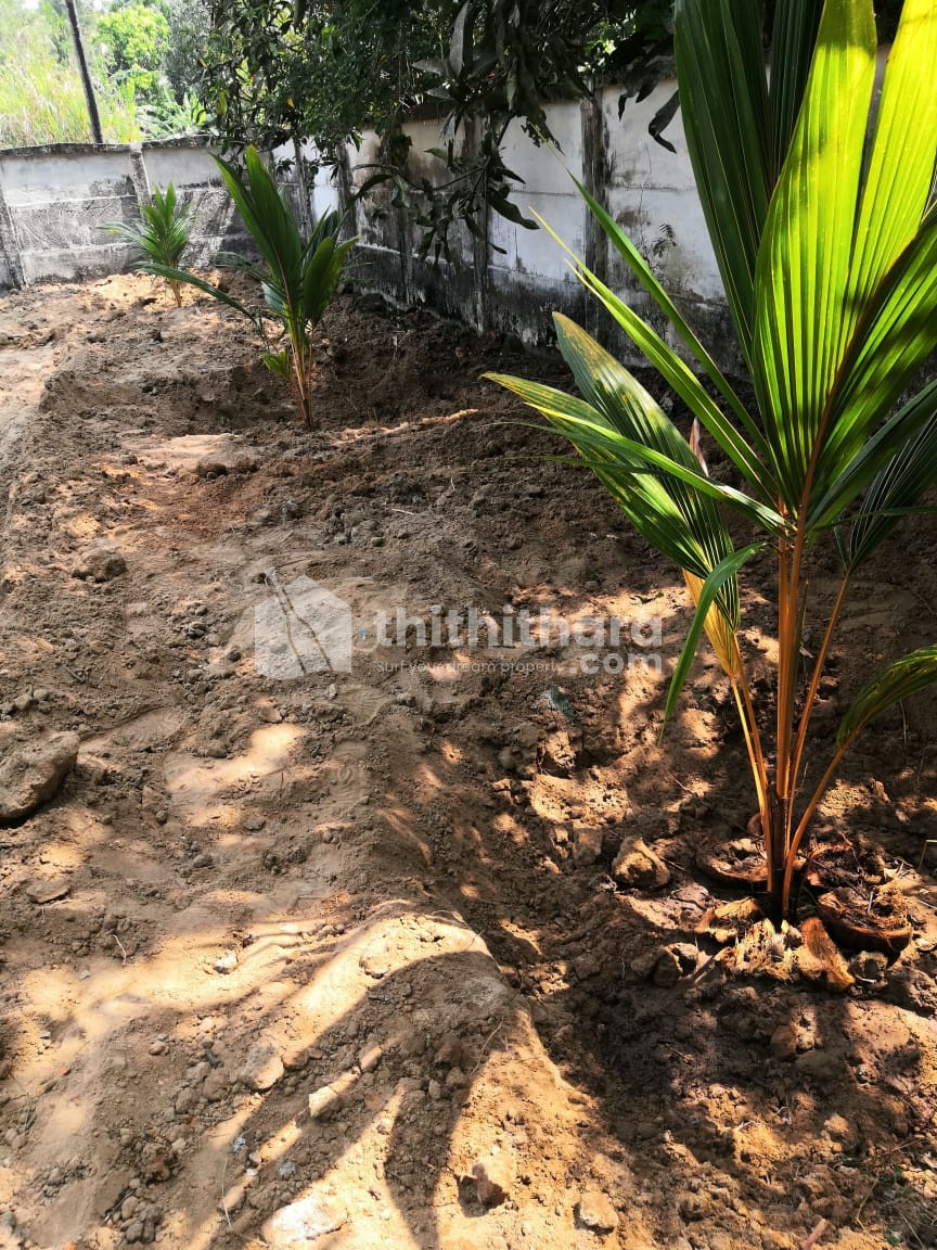 Residential Land available for Sale in Guruvayur Thrissur