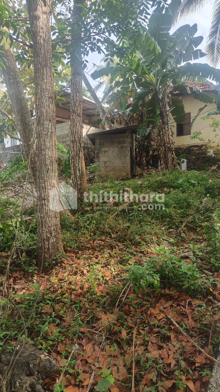 Residential Land available for Sale in Konkalam Nemom Thiruvananthapuram