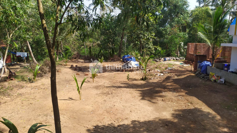 Residential Land available for Sale in Payyoli Kozhikode