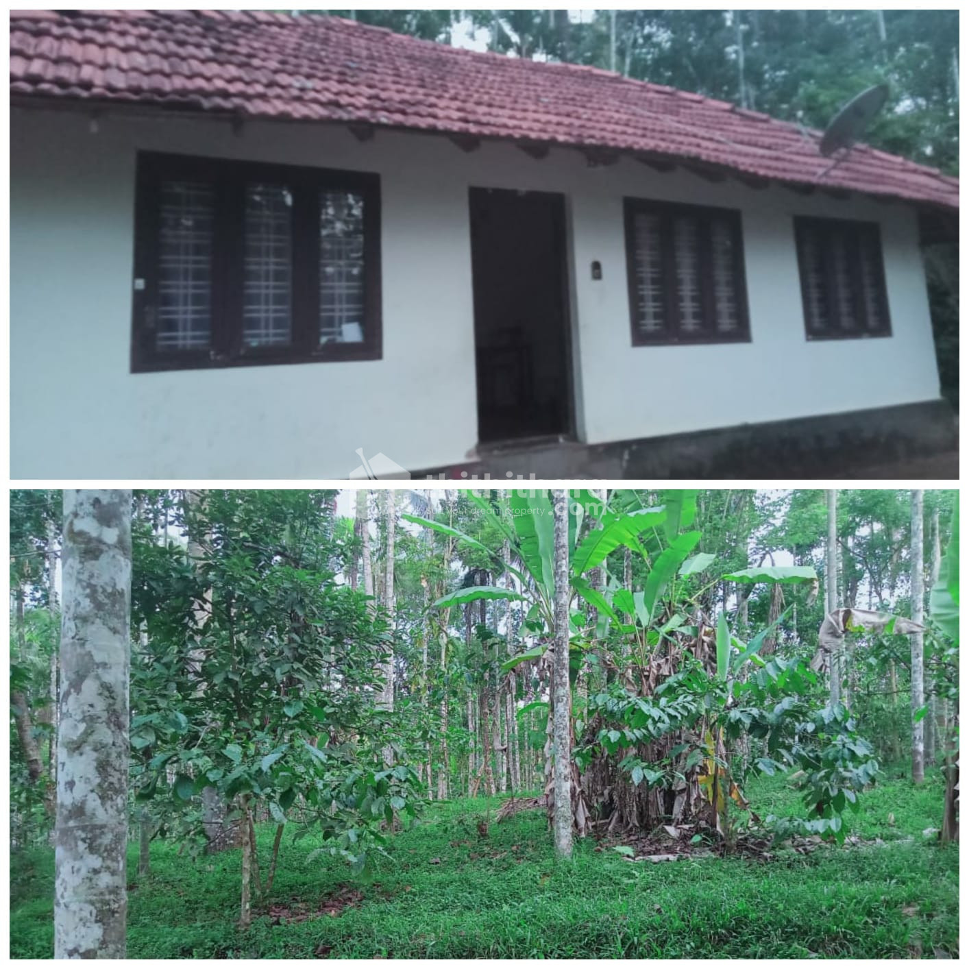 3 BHK house for sale at Meenangadi ,Wayanad