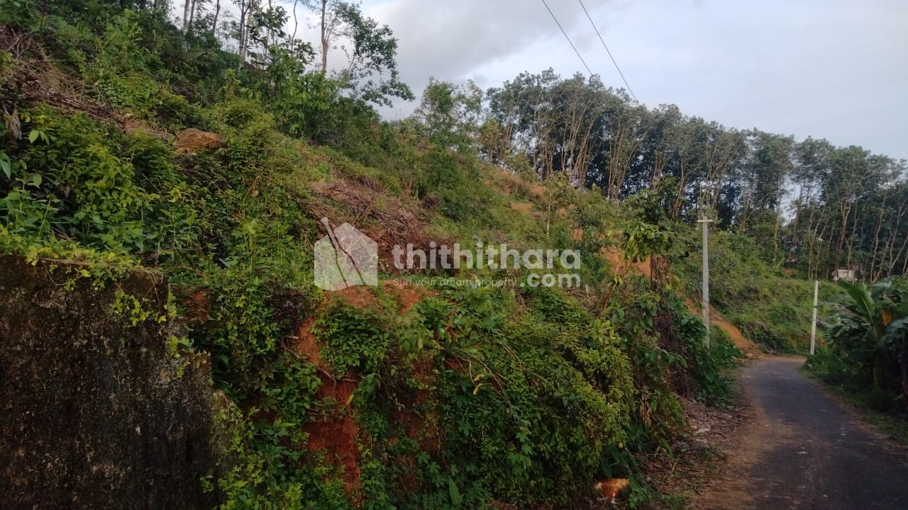 Residential Land available for Sale in Kanjirappally Kottayam