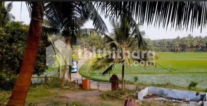 Residential Land for sale at Kongad Palakkad