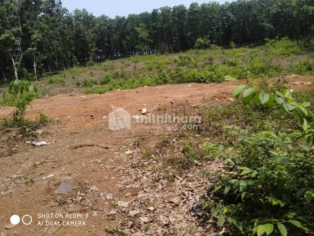 Residential Land for sale at Mannarkkad Palakkad