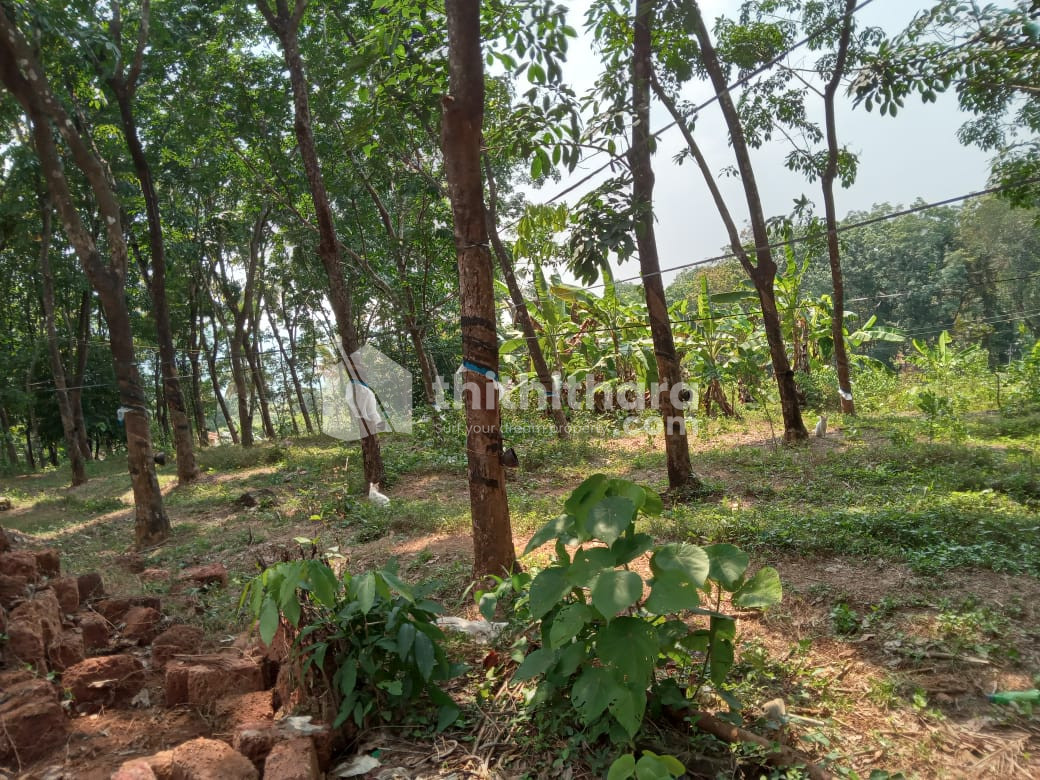 Residential Land available for Sale in Peravoor Kannur