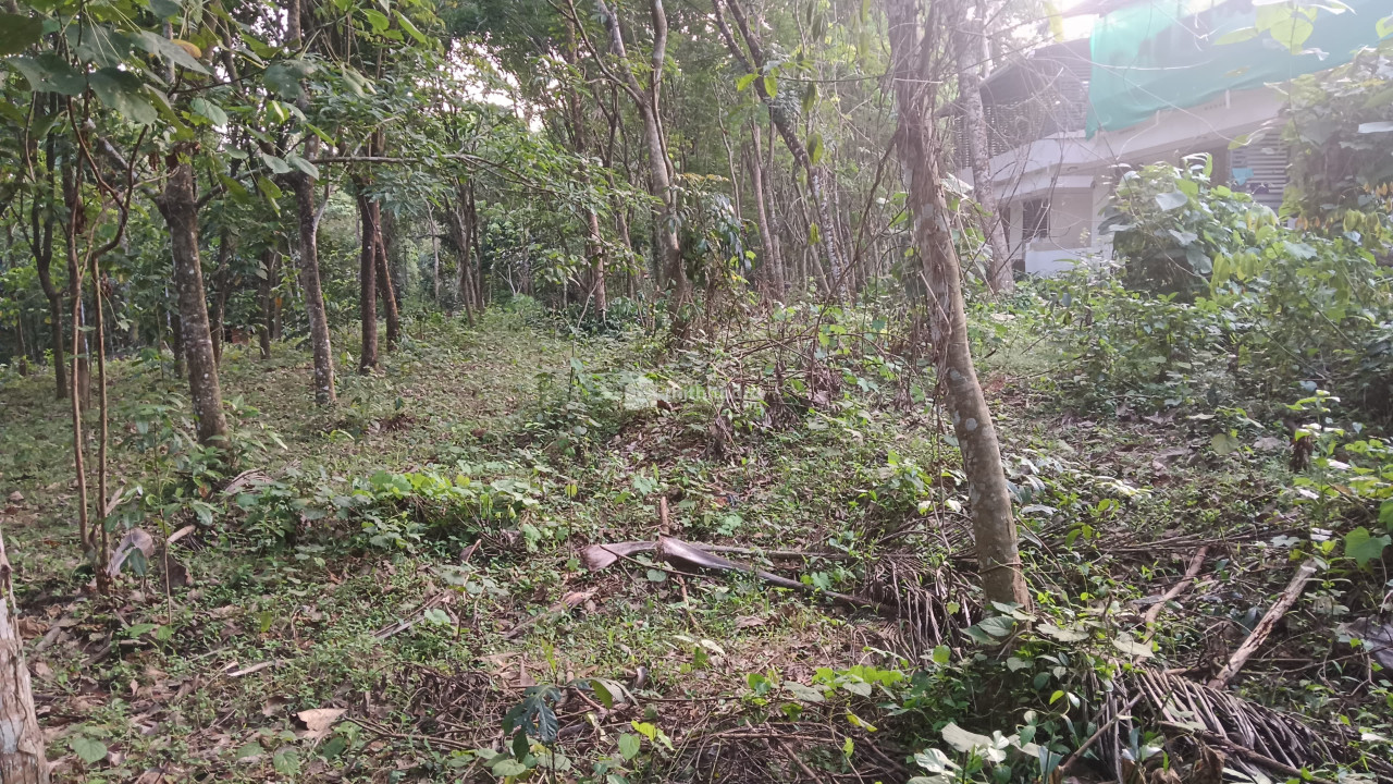 Residential Land for sale at Perumbavoor Ernakulam