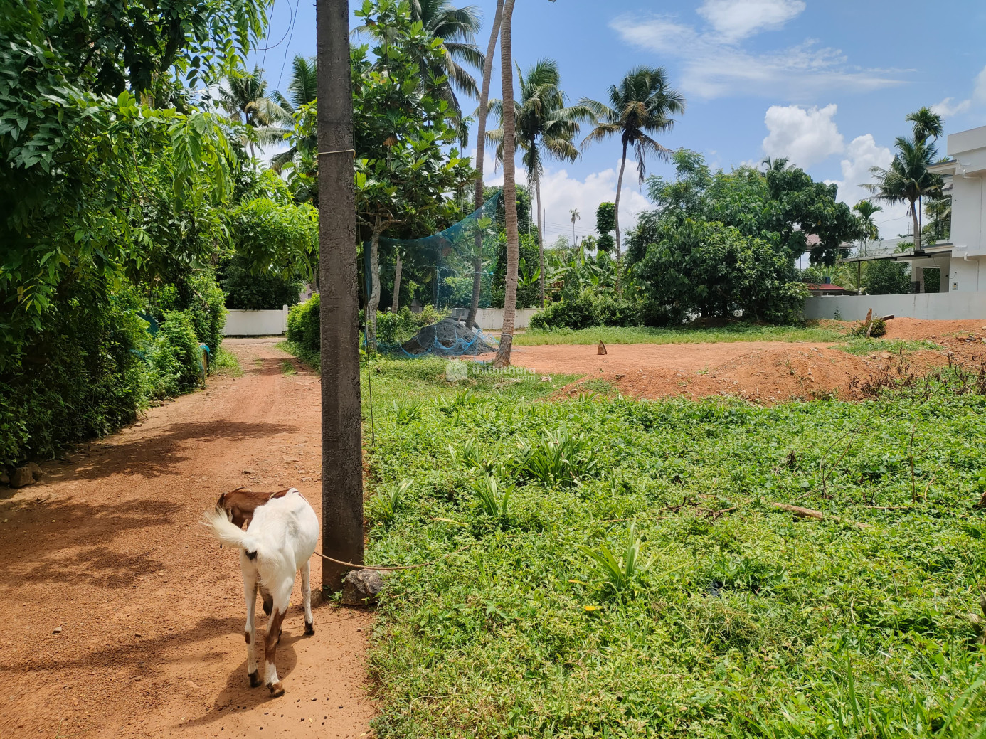 Residential Land available for Sale in Chalakudy Thrissur