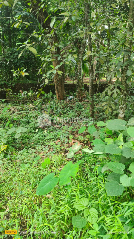 Residential Land for sale at Parappanangadi Malappuram